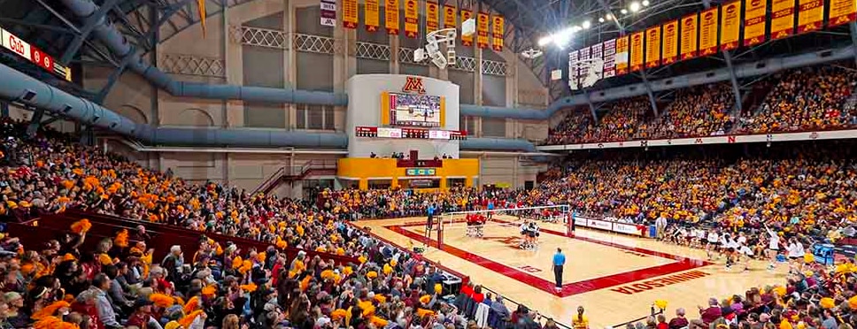 Minnesota Golden Gophers