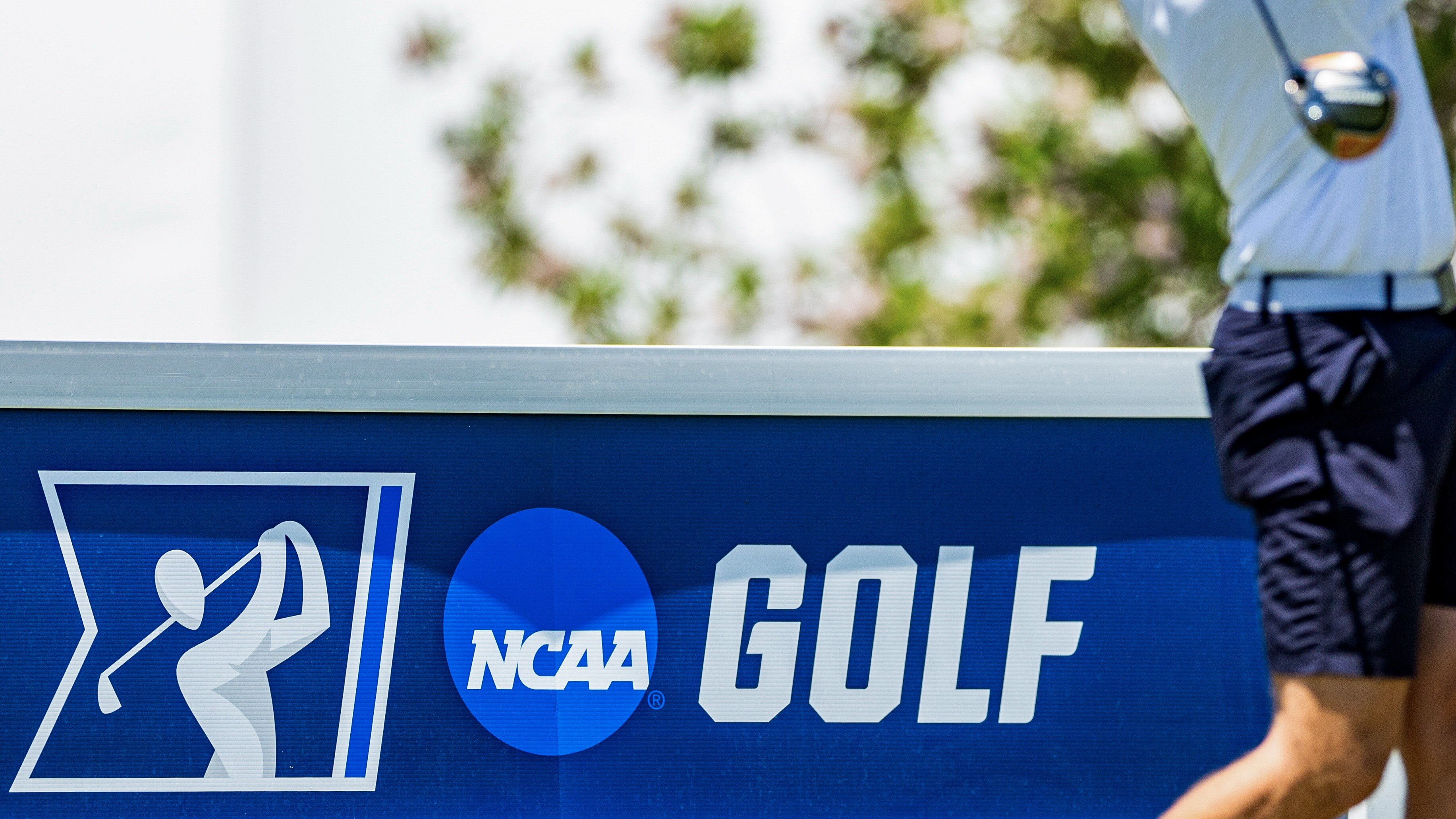 NCAA DIII men's golf