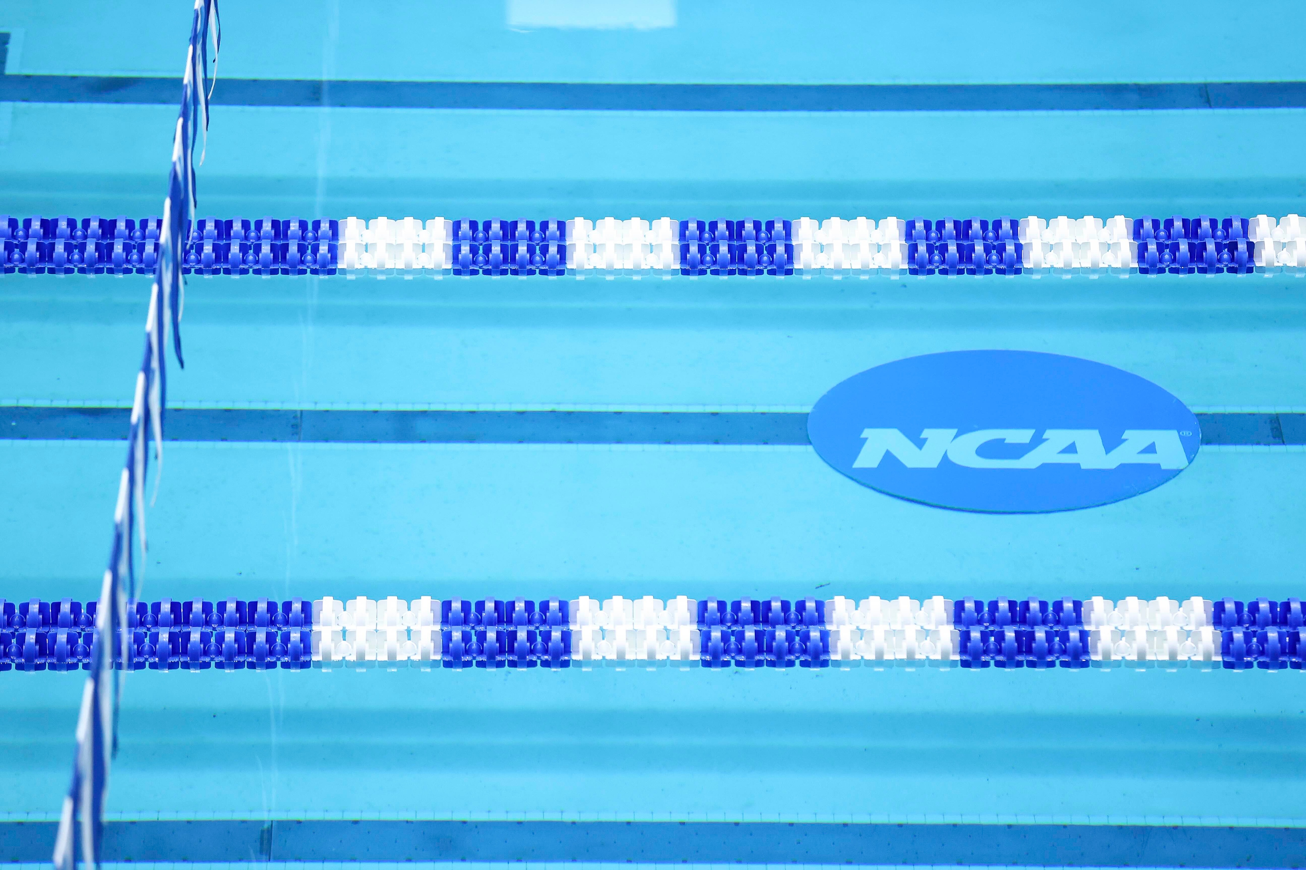 NCAA swimming pool photo 